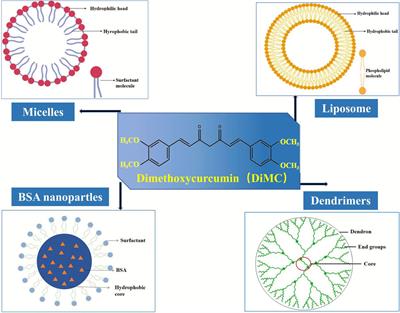 A Promising Anticancer Agent Dimethoxycurcumin: Aspects of Pharmacokinetics, Efficacy, Mechanism, and Nanoformulation for Drug Delivery